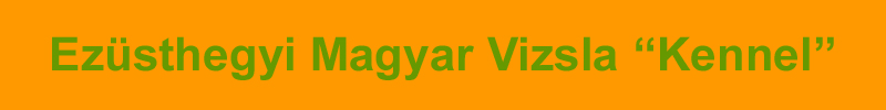 ezusthegyivizsla